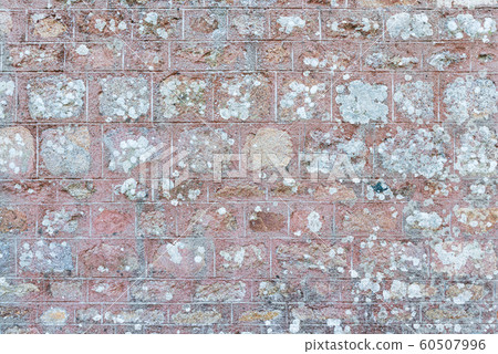 Old wall texture Old wall texture 60507996