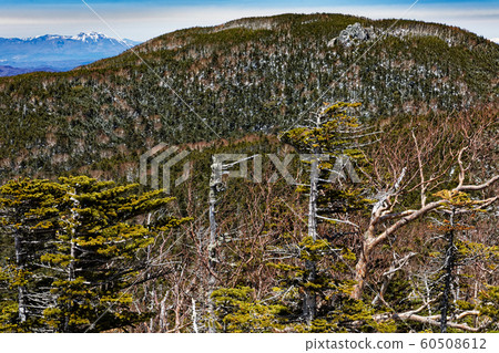 從Kake Takeobudake看到的Sanbusu山和淺間山 從Kake Takeobudake看到的Sanbusu山和淺間山 60508612