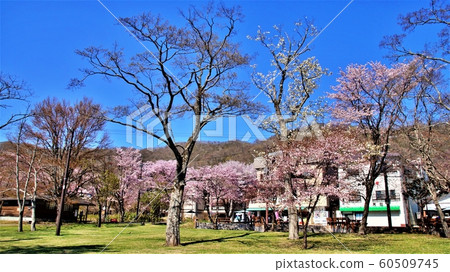 Spring at Shikotsuko Onsen Shopping Street Spring at Shikotsuko Onsen Shopping Street 60509745