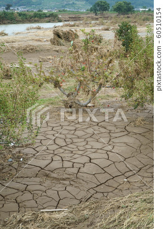 2019 Typhoon No. 19 Chikuma River Flood Damage 2019 Typhoon No. 19 Chikuma River Flood Damage 60510154