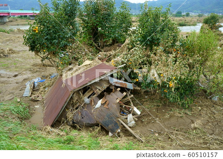 2019 Typhoon No. 19 Chikuma River Flood Damage 2019 Typhoon No. 19 Chikuma River Flood Damage 60510157
