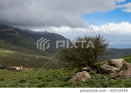 Countryside of the western Sardinia, Italy 60510446