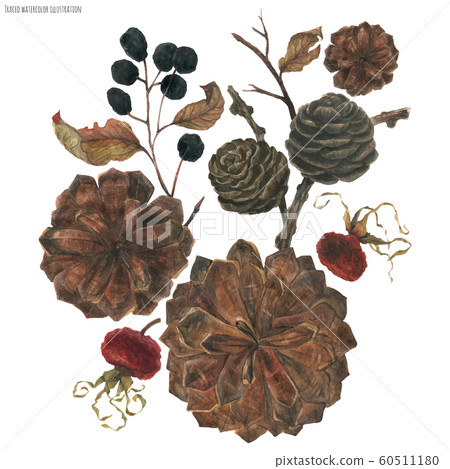 Christmas winter floral bouquet Christmas winter floral bouquet 60511180