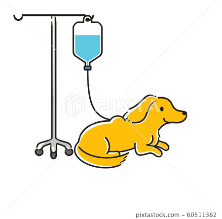 Ducks injection 60511362