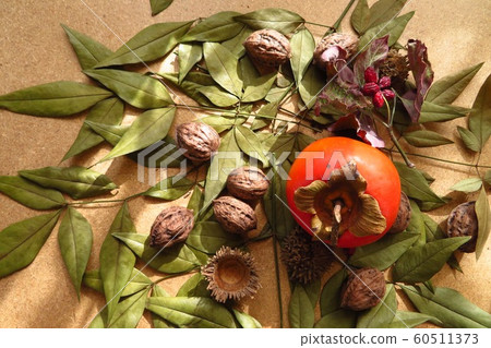 Image of autumn 60511373