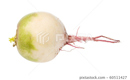fresh watermelon radish isolated on white 60511427