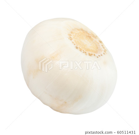 peeled bulb of chinese Solo garlic isolated peeled bulb of chinese Solo garlic isolated 60511431