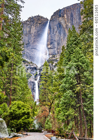 Yosemite Falls, the highest waterfall in Yosemite National Park, California 60511665