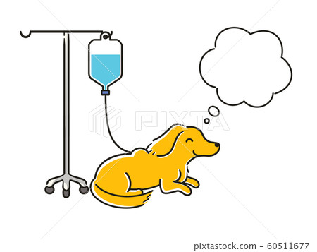 Dachs drip balloon Dachs drip balloon 60511677