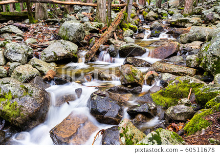 Bridalveil Creek in Yosemite Valley, California Bridalveil Creek in Yosemite Valley, California 60511678