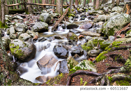 Bridalveil Creek in Yosemite Valley, California 60511687