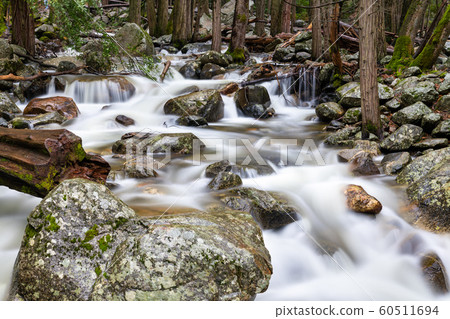 Bridalveil Creek in Yosemite Valley, California 60511694