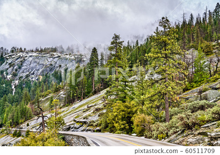 Wawona Road in Yosemite National Park, California 60511709