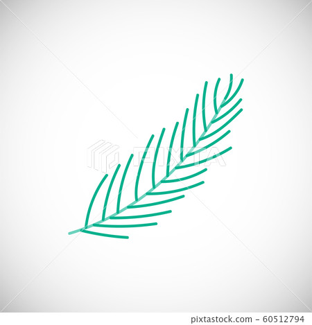 Isolated Christmas tree branch Isolated Christmas tree branch 60512794