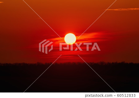 Sunset over Forest Sunset over Forest 60512833