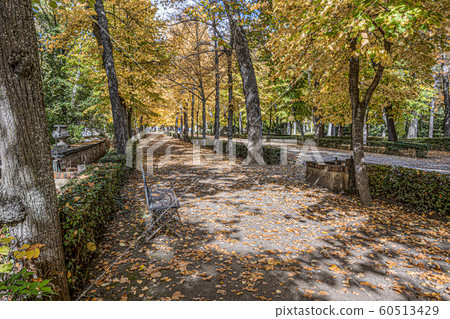 Aranjuez park one autumn day. Madrid's community . Aranjuez park one autumn day. Madrid's community . 60513429