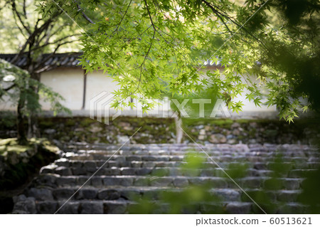 Futoshi-in Temple, Aoba Maple 60513621