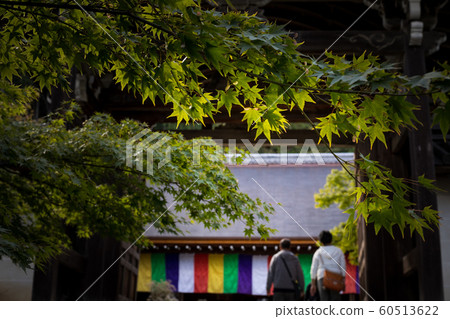 Nison-in Temple, Emissary and Blue Maple 60513622