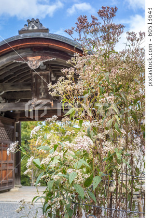 尼森院，特使和富士 60513643