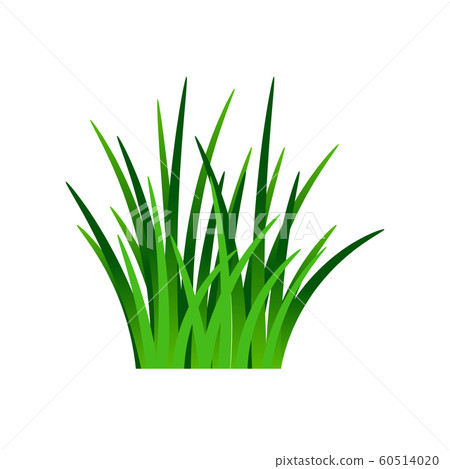 Dark green grass isolated on white 60514020