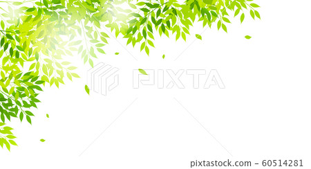 鮮綠色（嫩葉） 60514281