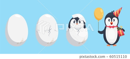 Penguin egg. Birth stages of penguin. Cute cartoon animal newborn vector illustration 60515110