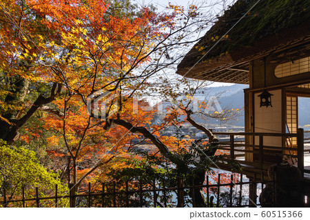 Autumn dragon mountain villa 60515366