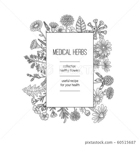 Herbs frame. Herbal background design for spa... - Stock Illustration  [60515687] - PIXTA