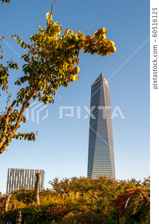 Songdo New City Central Park, Incheon Songdo New City Central Park, Incheon 60516125