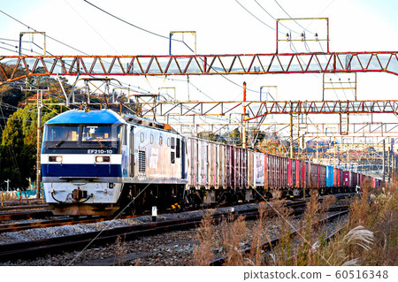 Morning EF 210 60516348