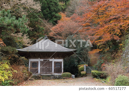 Unzenji Temple in late autumn Unzenji Temple in late autumn 60517277