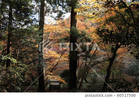 Unzenji Temple in late autumn Unzenji Temple in late autumn 60517500