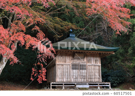 Unzenji Temple in late autumn Unzenji Temple in late autumn 60517501
