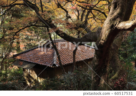 Unzenji Temple near the bathroom in late autumn Unzenji Temple near the bathroom in late autumn 60517531