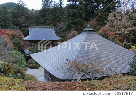 Unzenji Temple in late autumn Unzenji Temple in late autumn 60517617