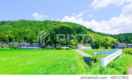 Country landscape in summer Country landscape in summer 60517902
