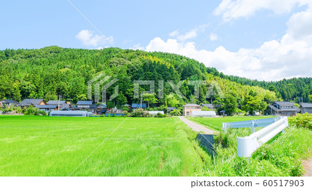 Country landscape in summer 60517903