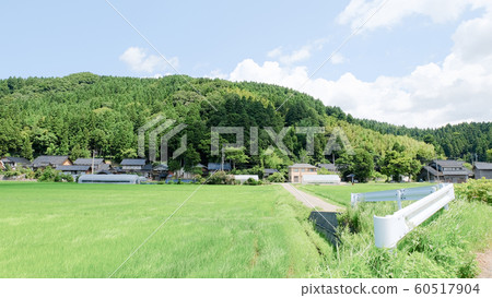 Country landscape in summer Country landscape in summer 60517904