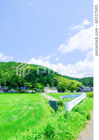 Country landscape in summer 60517905