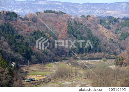 A train on the Iiyama Line that runs on a curve against a backdrop of mountains with autumn leaves and snow 60519395