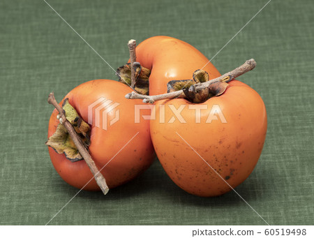 Shibu - kun Shibu - kun 60519498