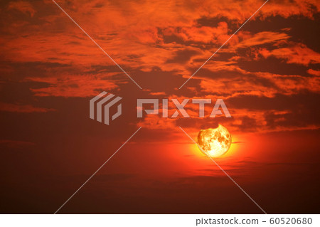 wolf blood moon back on silhouette red orange wolf blood moon back on silhouette red orange 60520680