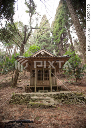 林道的盡頭 林道的盡頭 60520950