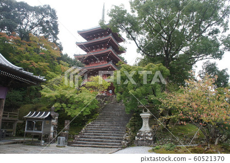 Chikurin吉 Chikurin吉 60521370