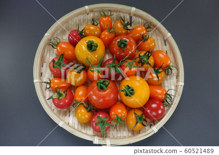 Tomato Tomato 60521489