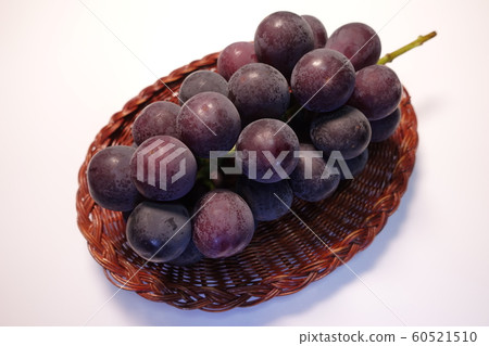 Grape Pione 60521510