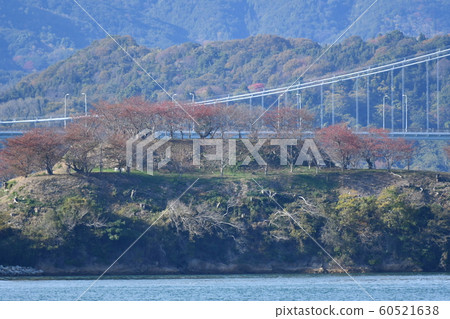 Shimanami Kaido, Pirate Island, Nojima, Telephoto, December, Sunny, Autumn Leaves Shimanami Kaido, Pirate Island, Nojima, Telephoto, December, Sunny, Autumn Leaves 60521638