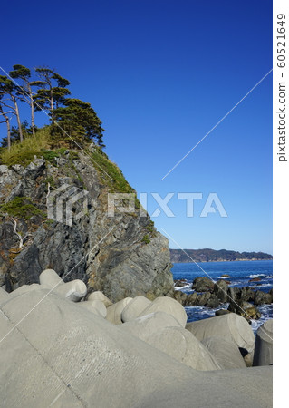 三陸地質公園島的小松島 三陸地質公園島的小松島 60521649