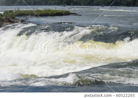 Iguazu Falls 60522203