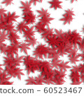 Autumn leaves: transparent 60523467